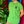 Load image into Gallery viewer, TN Leaf Green Classic T-Shirt
